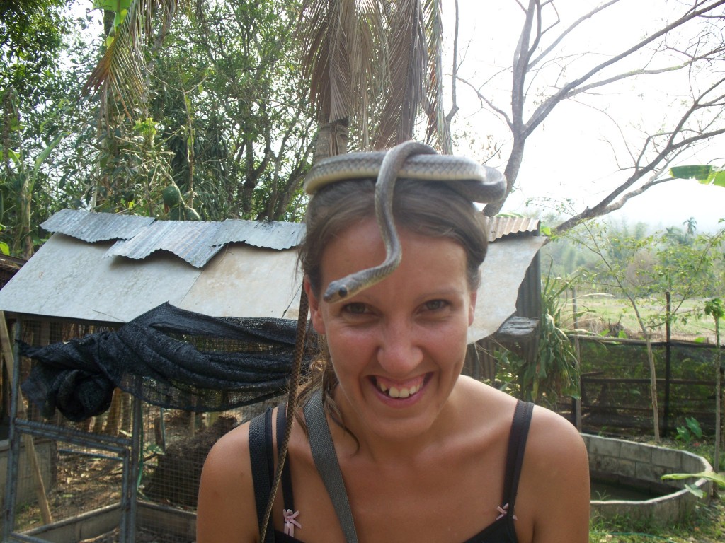 Snake Hat