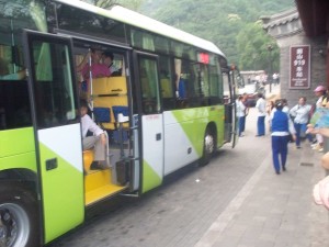 Bus 919