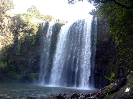 Whangeri Falls
