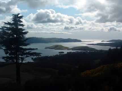 View from Larnach Castle