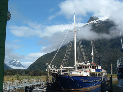 Our Cruise Ship-Milford Sound